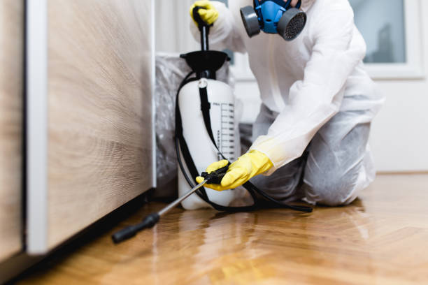 Best Local Pest Control Services  in Auburn, MI
