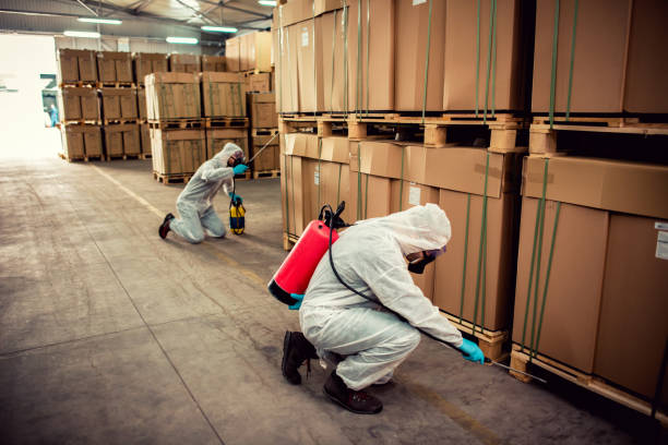 Best Affordable Pest Control Services  in Auburn, MI
