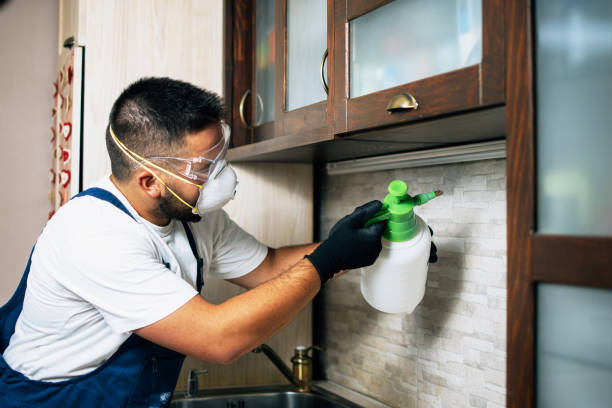 Best Affordable Exterminators  in Auburn, MI