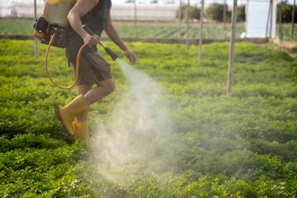 Best Mosquito Control Services  in Auburn, MI