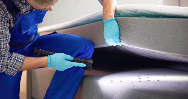 Best Wasp Removal Services  in Auburn, MI