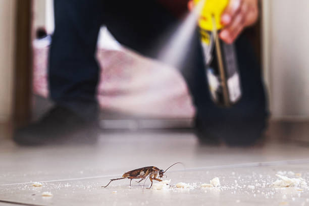 Best Exterminator Services  in Auburn, MI