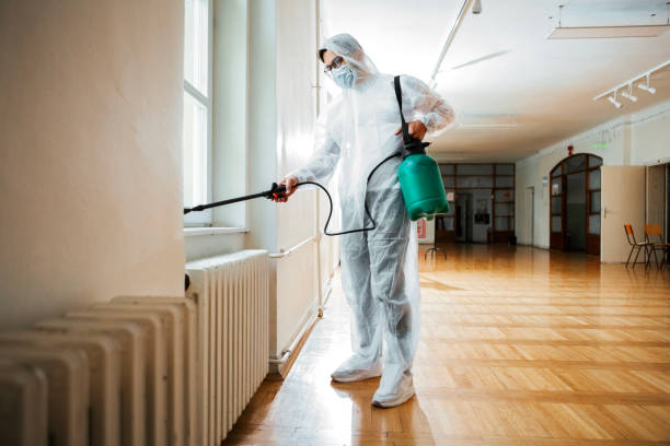 Reliable Auburn, MI Pest Control Solutions